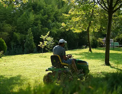 Leistung Gartenarbeiten und Grundstückspflege in Lambrecht und Umgebung